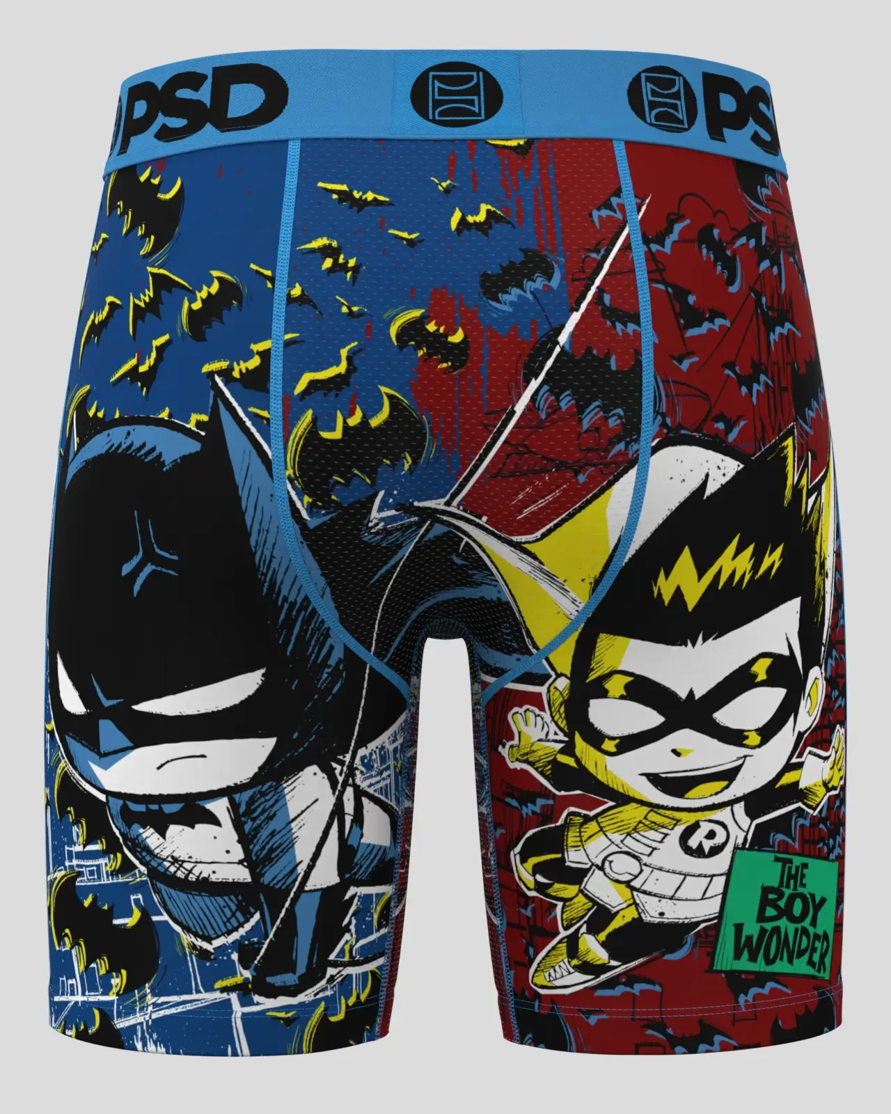 DC - Batman and Robin - Image 4