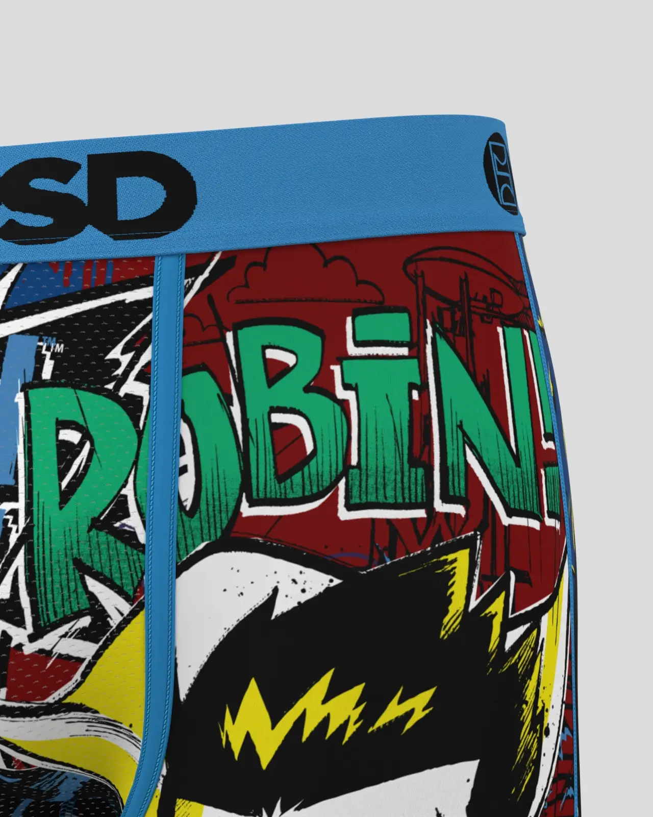DC - Batman and Robin - Image 5