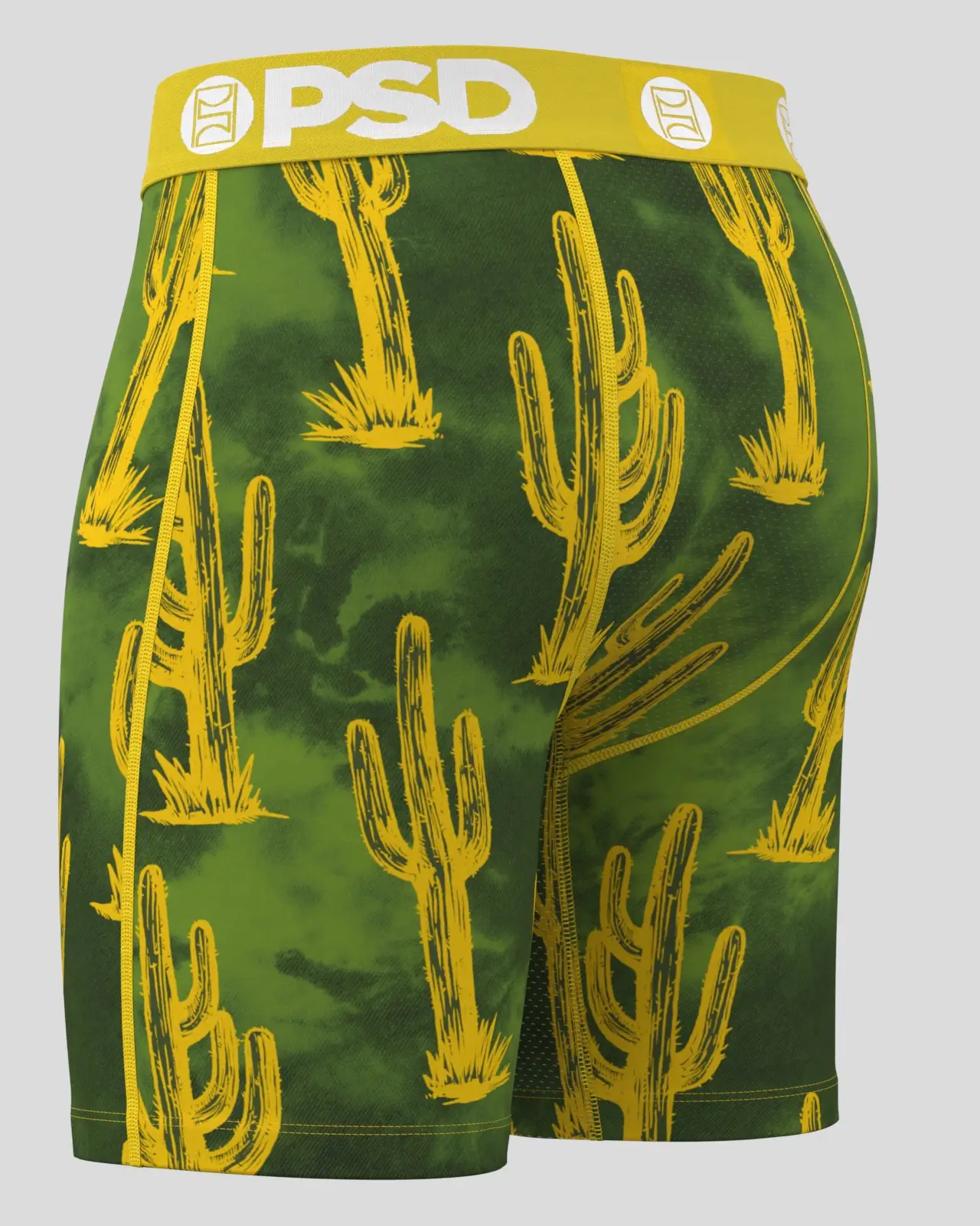 Cactus Heat - Image 3