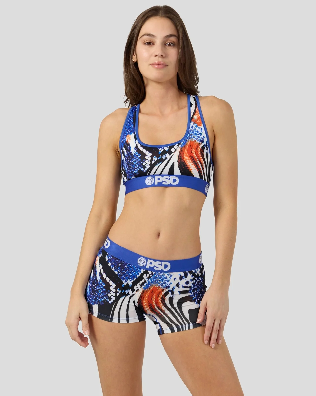 Eyelash Vipers - Image 2