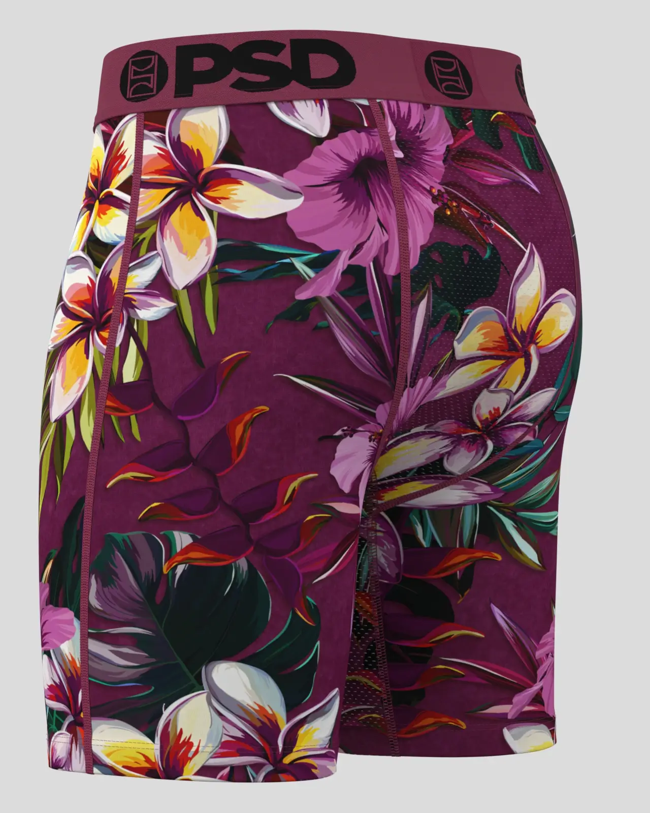 Plumeria - Image 3