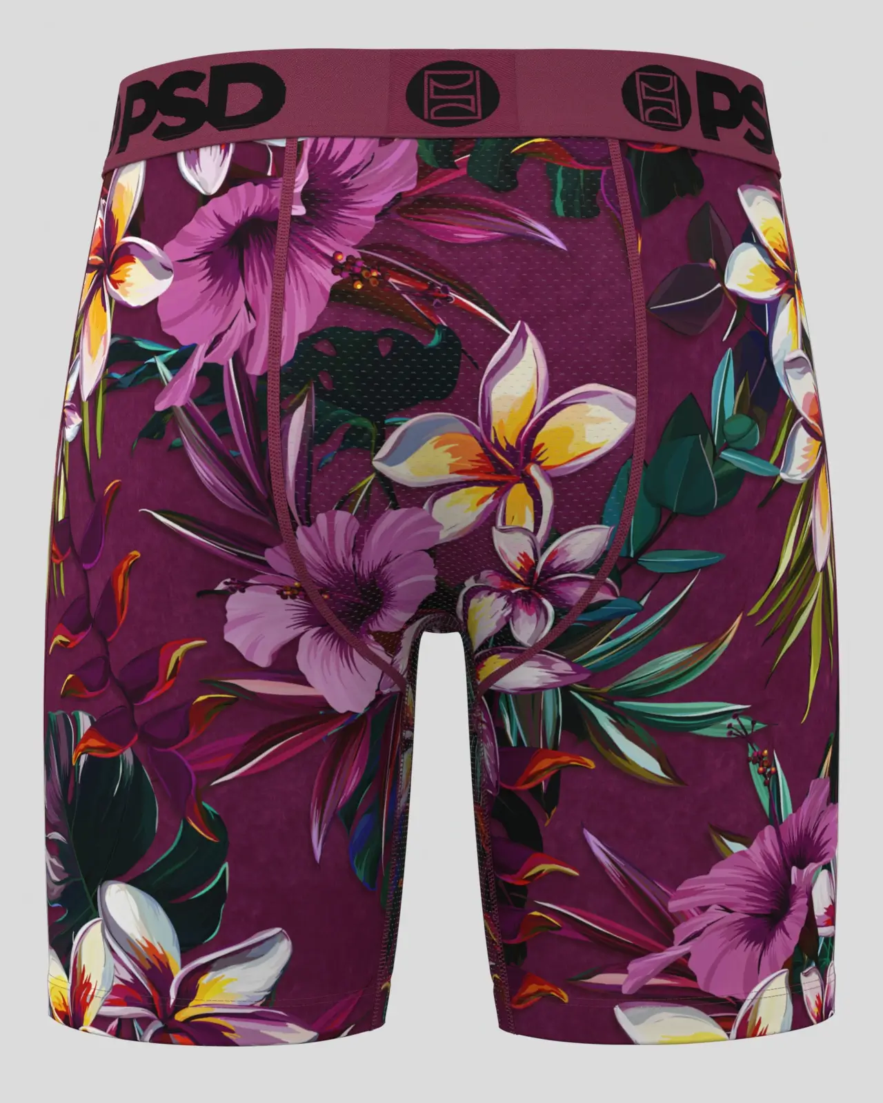 Plumeria - Image 4
