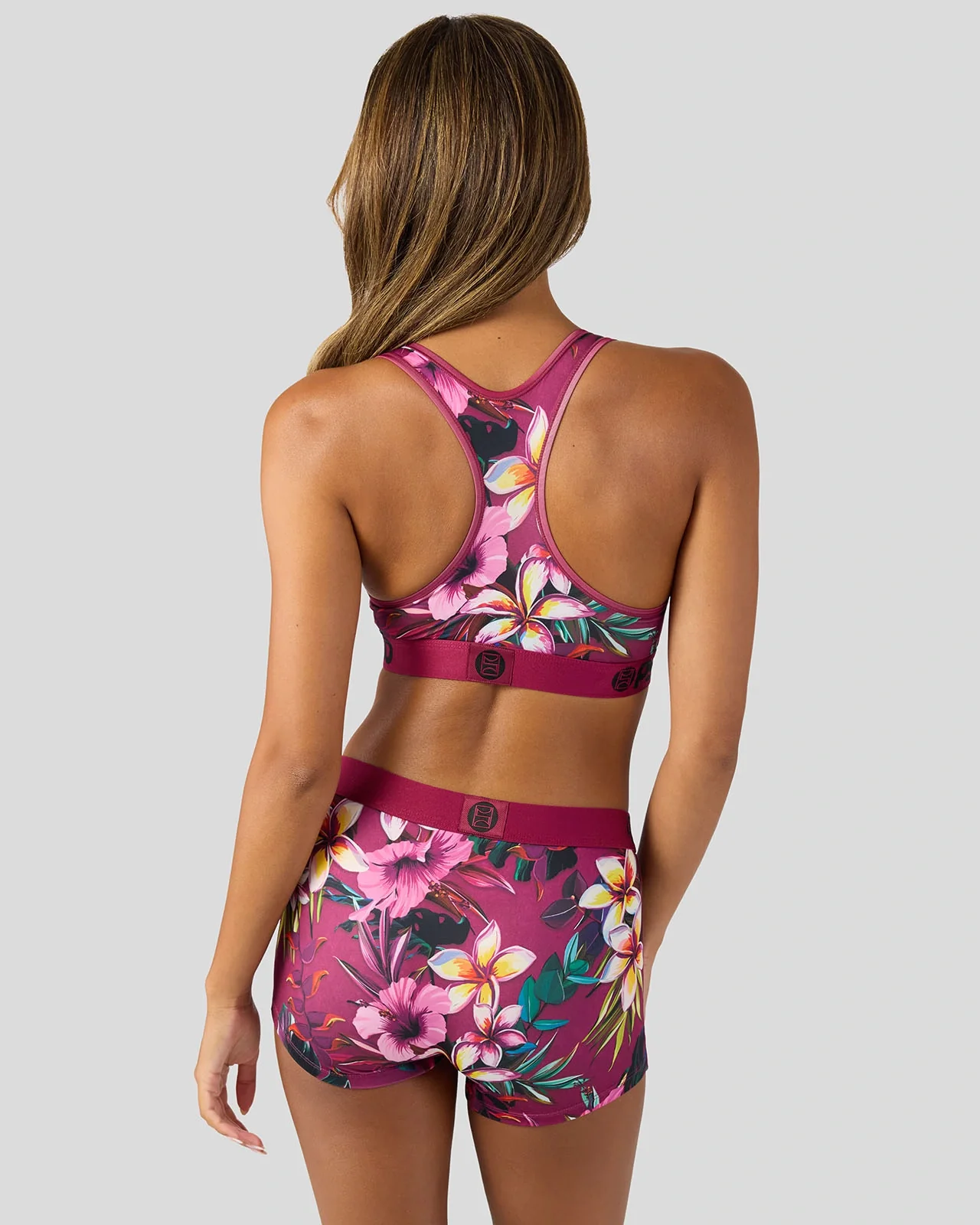 Plumeria - Image 4